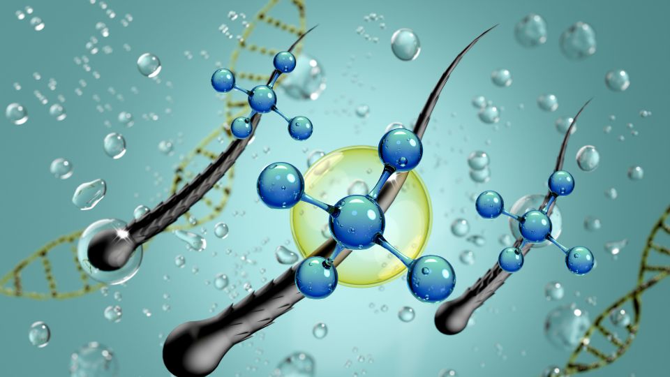 חידוש אנרגיית השיער עם קואנזים Q10