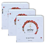 שלישית שפדל עץ צר פרימיום 200 יחידות בחבילה תמונה של שלישית שפדל עץ צר פרימיום 200 יחידות בחבילה מבית עלמה - מתוך קטלוג HairFix, מוצג באריזת המקור