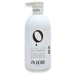 שמפו משקם ללא מלחים לשיער צבוע או פגום 500 מ"ל תמונה של שמפו משקם ללא מלחים לשיער צבוע או פגום 500 מ"ל מבית אולייר פריז - מתוך קטלוג HairFix, מוצג באריזת המקור