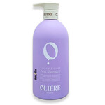 שמפו סילבר אסאי לשיער בלונדיני ללא מלחים 500 מ"ל תמונה של שמפו סילבר אסאי לשיער בלונדיני ללא מלחים 500 מ"ל מבית אולייר פריז - מתוך קטלוג HairFix, מוצג באריזת המקור